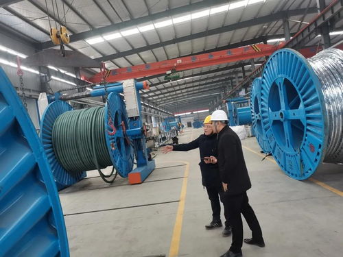 落实安全巡查 维护生产环境 河南华东电缆董事长陈剑平深入制造中心指导电线电缆技术开发工作
